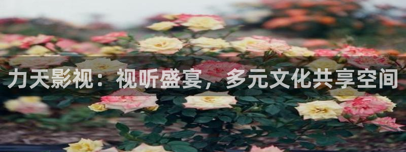 不卡在线视频播放