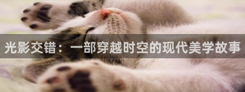 不卡网影院：光影交错：一部穿越时空的现代美学故事