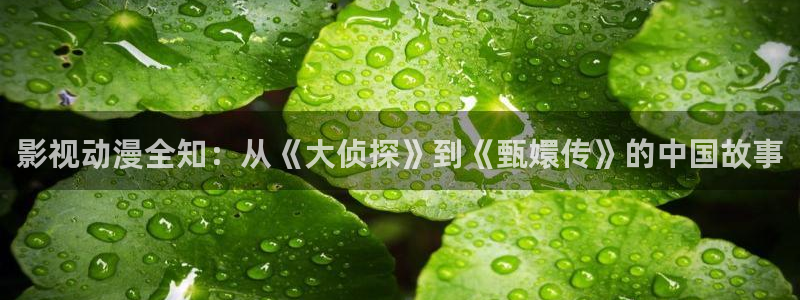 日本不卡高清dvd：影视动漫全知：从《大侦探》到《甄嬛传》的中国故事
