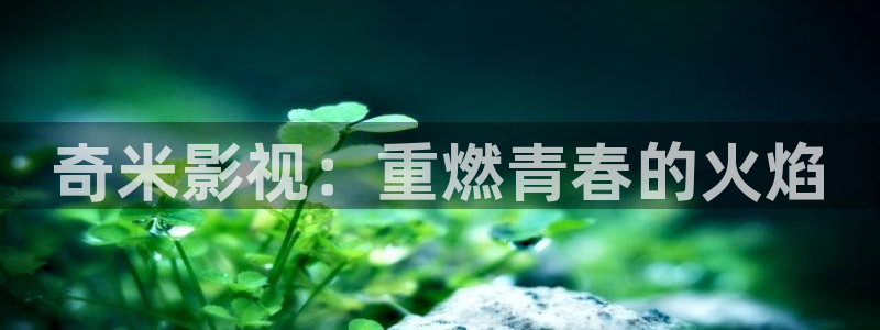 久久不卡av电影：奇米影视：重燃青春的火焰