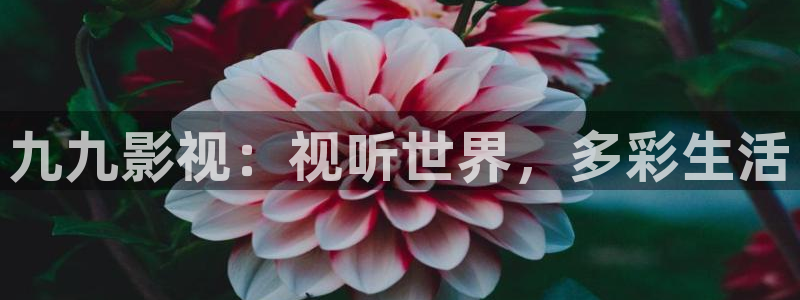 岛国在线不卡av电影：九九影视：视听世界，多彩生活