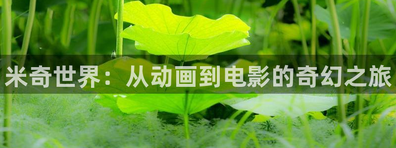 岛国毛片不卡：米奇世界：从动画到电影的奇幻之旅