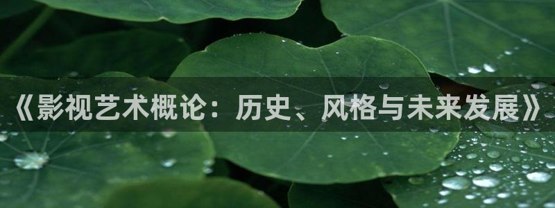 亚洲视频在线无不卡：《影视艺术概论：历史、风格与未来发展》