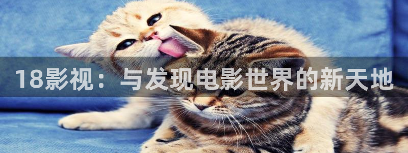 日韩电影不卡在线