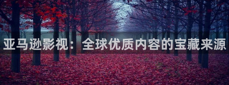 神马第九不卡电影