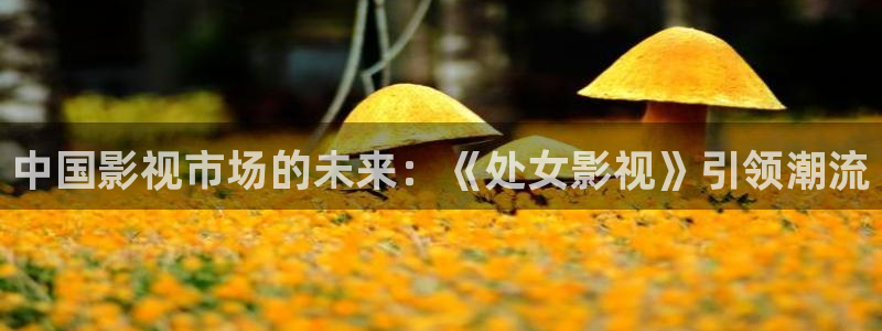 在线观看片免费人成视频不卡