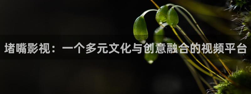 年轻人不卡影院