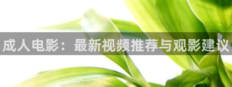 在线免费观看美女骚视频不卡网站